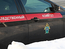 СК попросили проверить пытки и убийство геев в Чечне