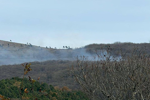 В Новороссийске локализован лесной пожар на площади 1,2 гектара