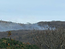 В Новороссийске локализован лесной пожар на площади 1,2 гектара