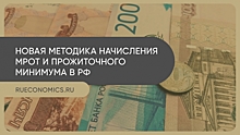 МРОТ и прожиточный минимум в 2021 приятно удивят россиян