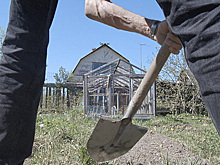На загородном участке под Петербургом обнаружили останки человека