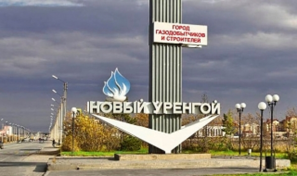 В Новый Уренгой приехали представители энергетической отрасли Германии