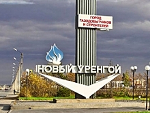 В Новый Уренгой приехали представители энергетической отрасли Германии