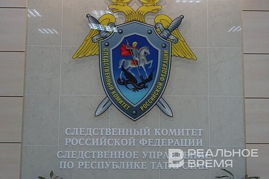 Бастрыкину доложат о ходе расследования дела по факту избиения школьника в Татарстане