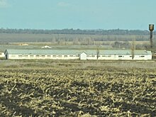 Украина рассчитывает в 2018 году получить кредиты от ЕС и транш в $2 млрд от МВФ