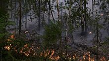 В Казахстане третьи сутки тушат пожар в охраняемой природной зоне