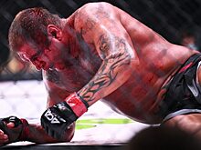 Дацик заявил о договорных боях братьев Емельяненко