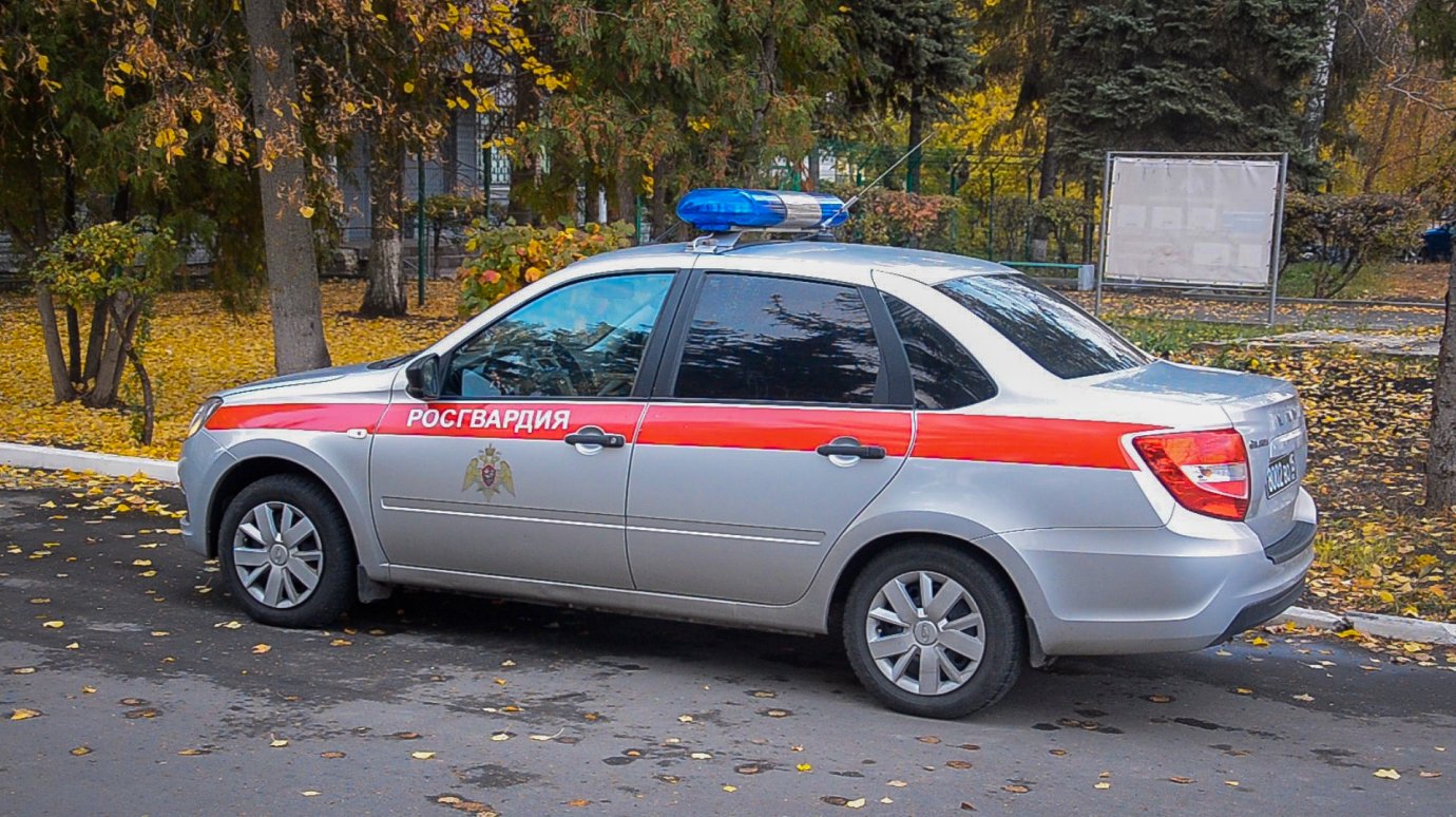 Пензячка не поладила с коллегами и устроила дебош в баре