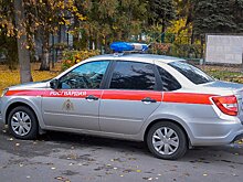 Пензячка не поладила с коллегами и устроила дебош в баре