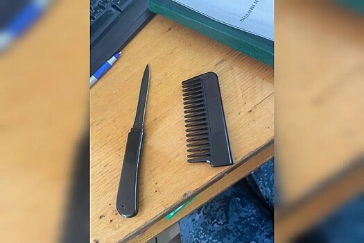 В сочинский суд не пустили посетительницу с необычной расческой