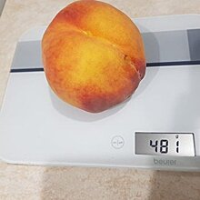 Гигантский персик вырастили в Запорожской области