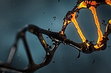 Учёные открыли новые гены, вызывающие шизофрению