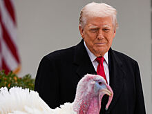 В Белом доме назвали журналистку отвратительным упырем