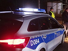 В Польше гражданин Белоруссии устроил дорожные аварии и бегал голым по дороге