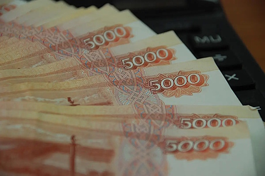 В Иваново представлявшийся сотрудником Росгвардии мошенник обманул граждан на 600 тыс. рублей