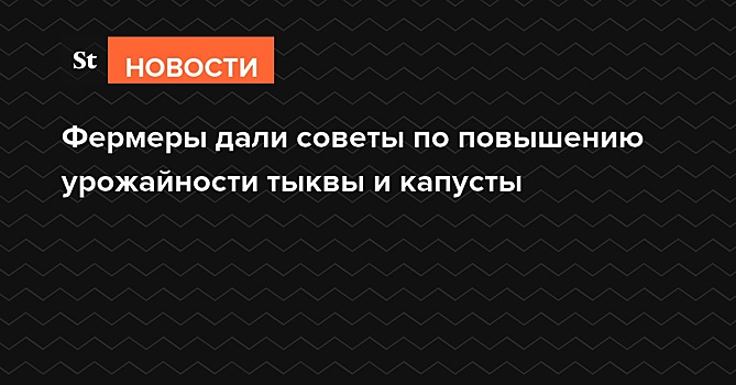 Фермеры дали советы по повышению урожайности тыквы и капусты