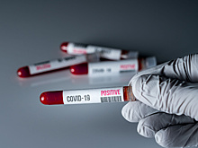 В «Брайтоне» зафиксирован третий случай заражения коронавирусом
