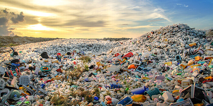 В 2024 году на каждого жителя Земли придется 28 кг пластиковых отходов