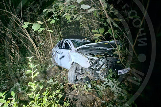 В Сочи автомобиль с четырьмя пассажирами упал с 20-метрового обрыва