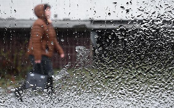 Москвичам пообещали морось