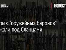 Четверых "оружейных баронов" задержали под Сланцами