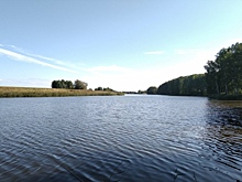 «Кудряшовское» оспорит взыскание 2,3 млрд: экспертиза не выявила загрязнений