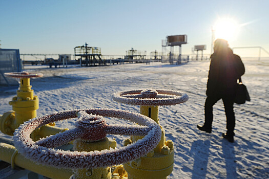 Евросоюз внес послабления в&nbsp;проект по&nbsp;отказу от&nbsp;российского газа