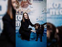 Звезды на премьере "Кот и пес": фотоотчет