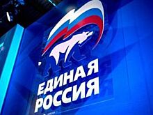 В Каменском районе сменится глава «Единой России»