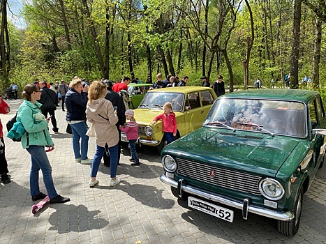 Выставка ретроавтомобилей проходит в парке «Дубки»