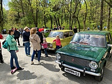Выставка ретроавтомобилей проходит в парке «Дубки»