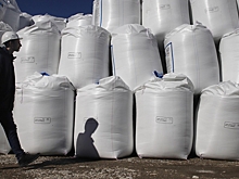 Индия и Россия договорились усилить экономическое сотрудничество