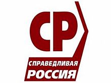 Оренбургские эсеры обвиняют Владимира Фролова в создании культа личности