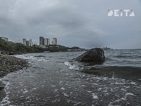 Не только фекалиями, но и гарью запахло в Первореченском районе Владивостока