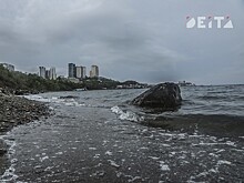 Не только фекалиями, но и гарью запахло в Первореченском районе Владивостока