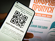 Власти Москвы разъяснили порядок поездок на дачу и к родственникам