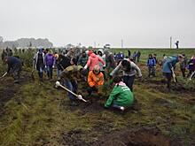 «Южный Кузбасс» посадит почти 70 тысяч сосен и елей на нарушенных землях