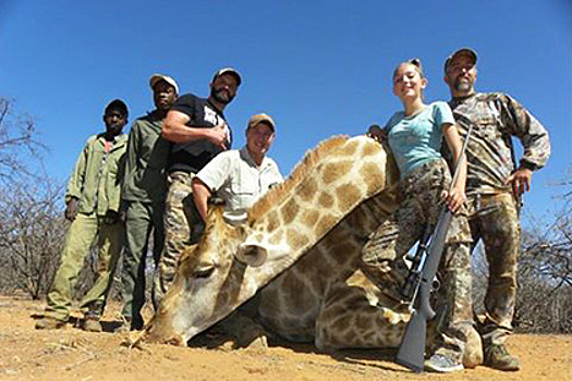 Застрелившая жирафа малолетняя охотница пообещала всю жизнь убивать животных