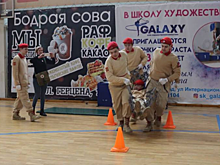В Павловском Посаде провели военно-патриотическую игру «Курс молодого бойца»