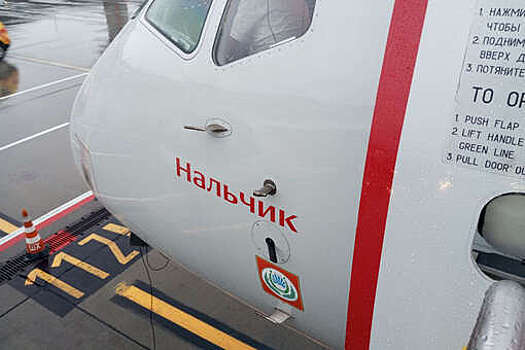 Росавиация: любитель железных дорог отказывался от посадки на свой борт