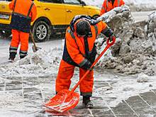 Депутат Нилов предложил привлекать граждан к уборке для помощи коммунальщикам