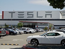 Илон Маск возобновил работу завода Tesla, несмотря на запрет властей
