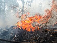 Более миллиона гектаров: Красноярский край в огне