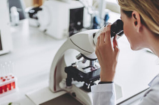 Новосибирские ученые создали лечащие волокна для протезов сосудов