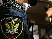 Кабмин поддержал проект об обязанности приставов отчитываться в режиме онлайн