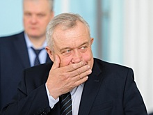 Челябинского главу обвинили в непристойном поведении