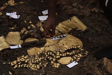 В Панаме обнаружена древняя гробница, полная золота