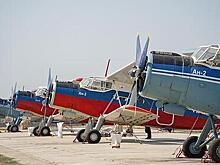 В России сделают беспилотный Ан-2