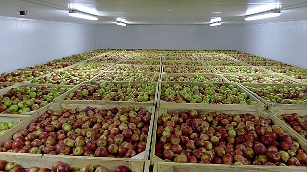В Адыгее построят мощные холодильные установки для хранения фруктов и овощей