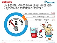 Российские автомобилисты сомневаются в падении цен на бензин в России в скором времени